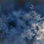 congés d'hiver